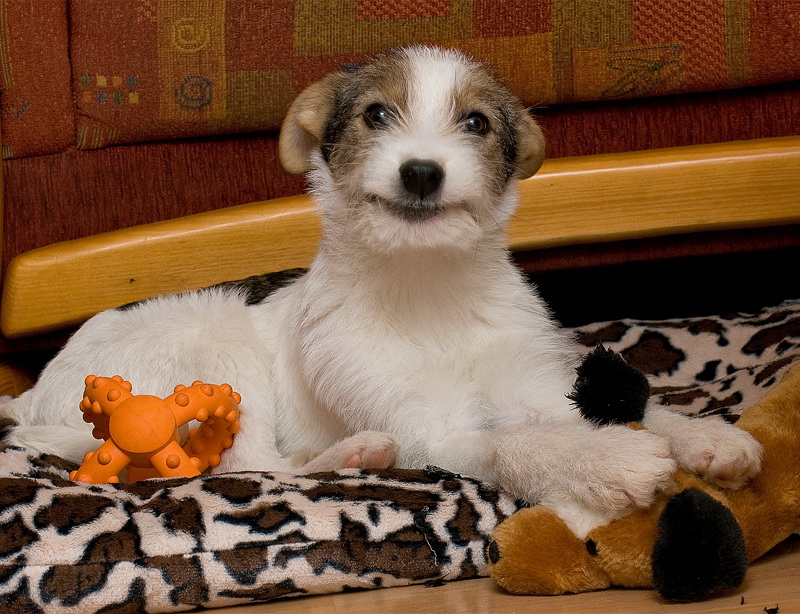 1 felix D35_3574 als Smart-Objekt-2 Kopie.jpg